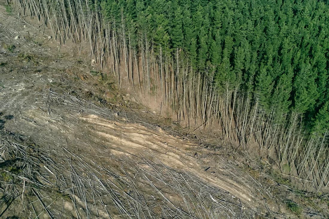 Trump’s Policies on Oil Drilling and Deforestation