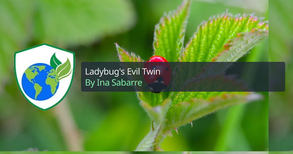 Ladybug's Evil Twin | TEDI Blog - The Environmental Defense Initiative