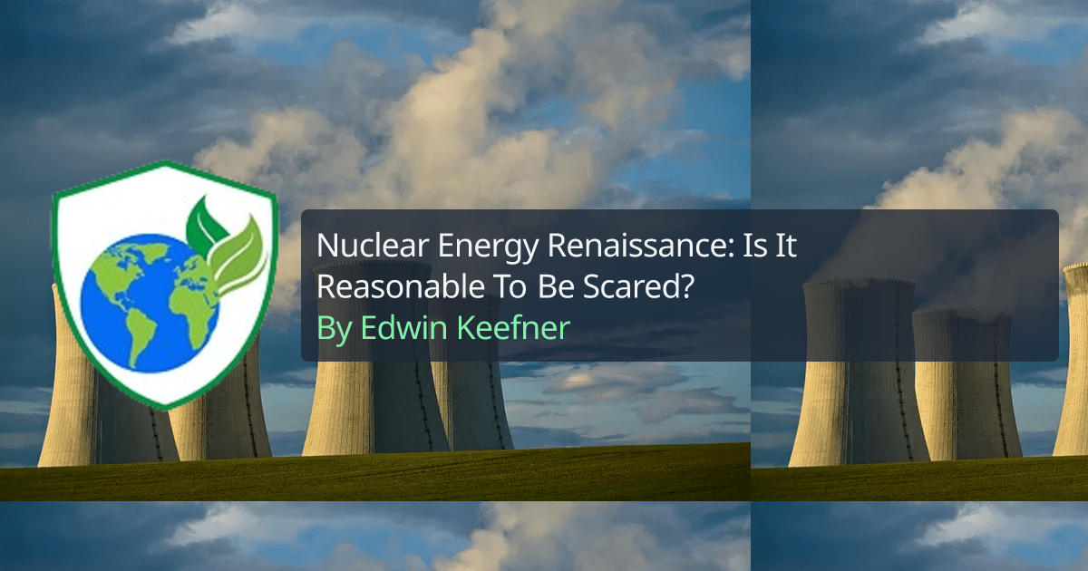 Nuclear Energy Renaissance: Is It Reasonable To Be Scared? | TEDI Blog ...
